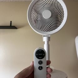 Fan 