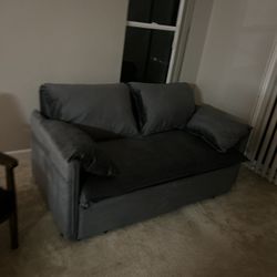Pull Out Couch Bed 