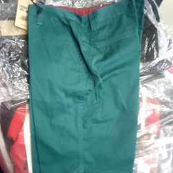 BN Troy Lee Teal Shorts Size 36