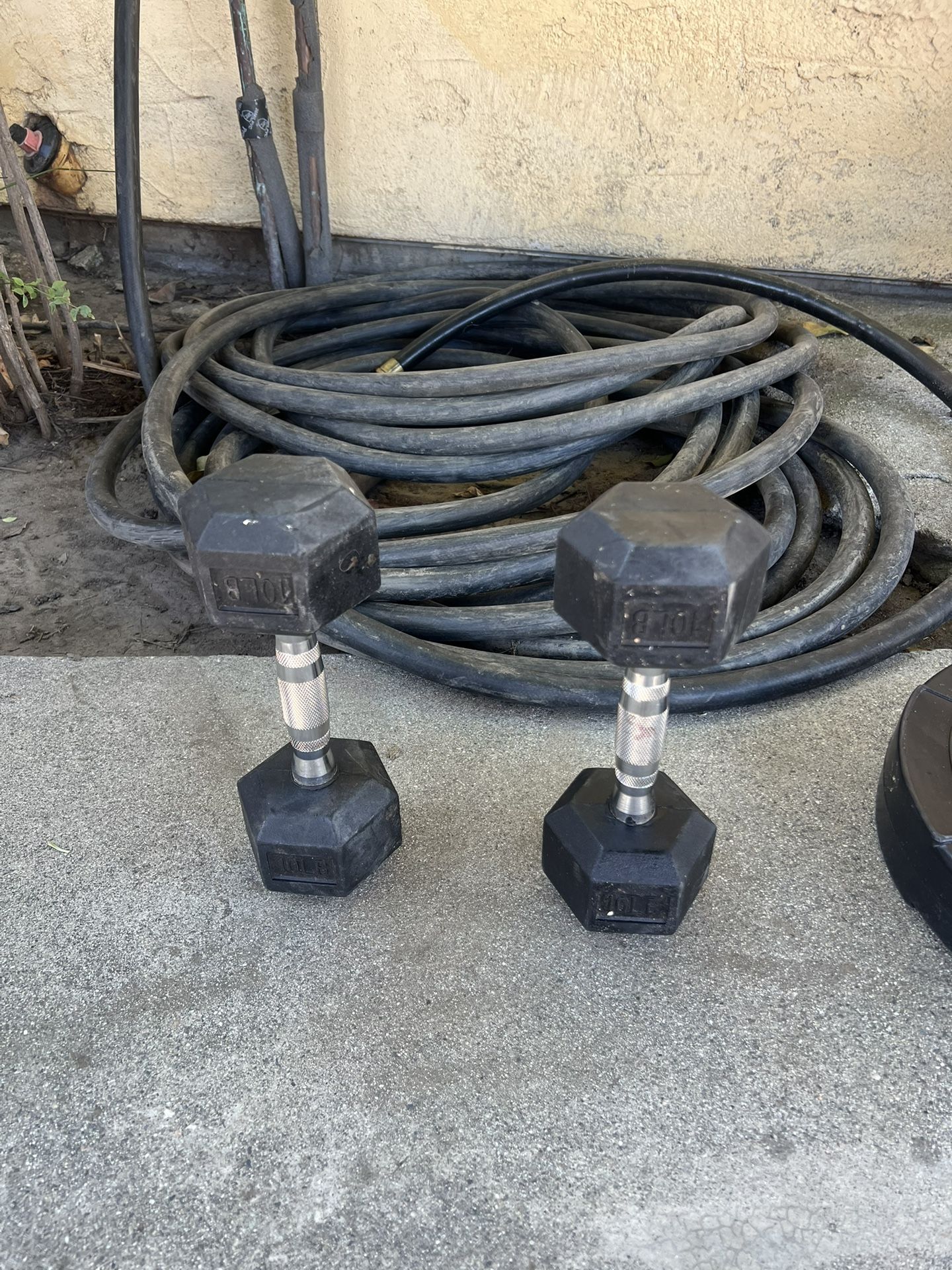 Dumbbells 10 Pounds