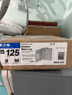 Outdoor 125A Main Lug Disconnect