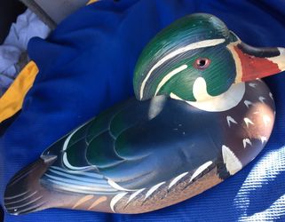 North America Duck