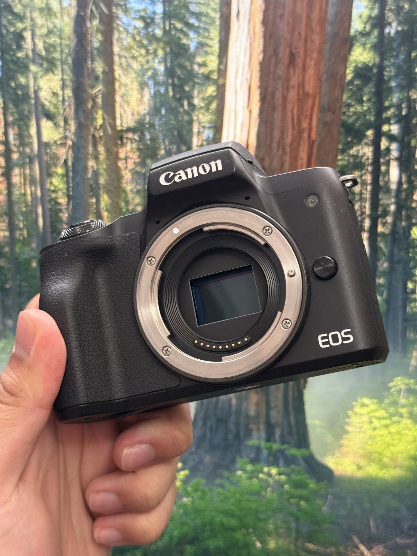 Canon M50 Bundle 