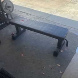 Flat Bench