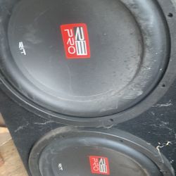 12 Subwoofers 