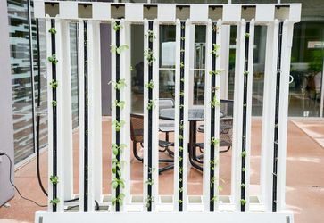 Hydroponic education system