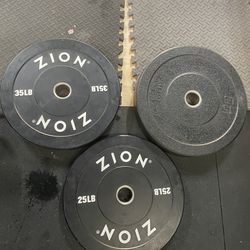 Zion bumper plates