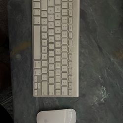 Apple Keyboard & Magic Mouse (takes AA Batteries)