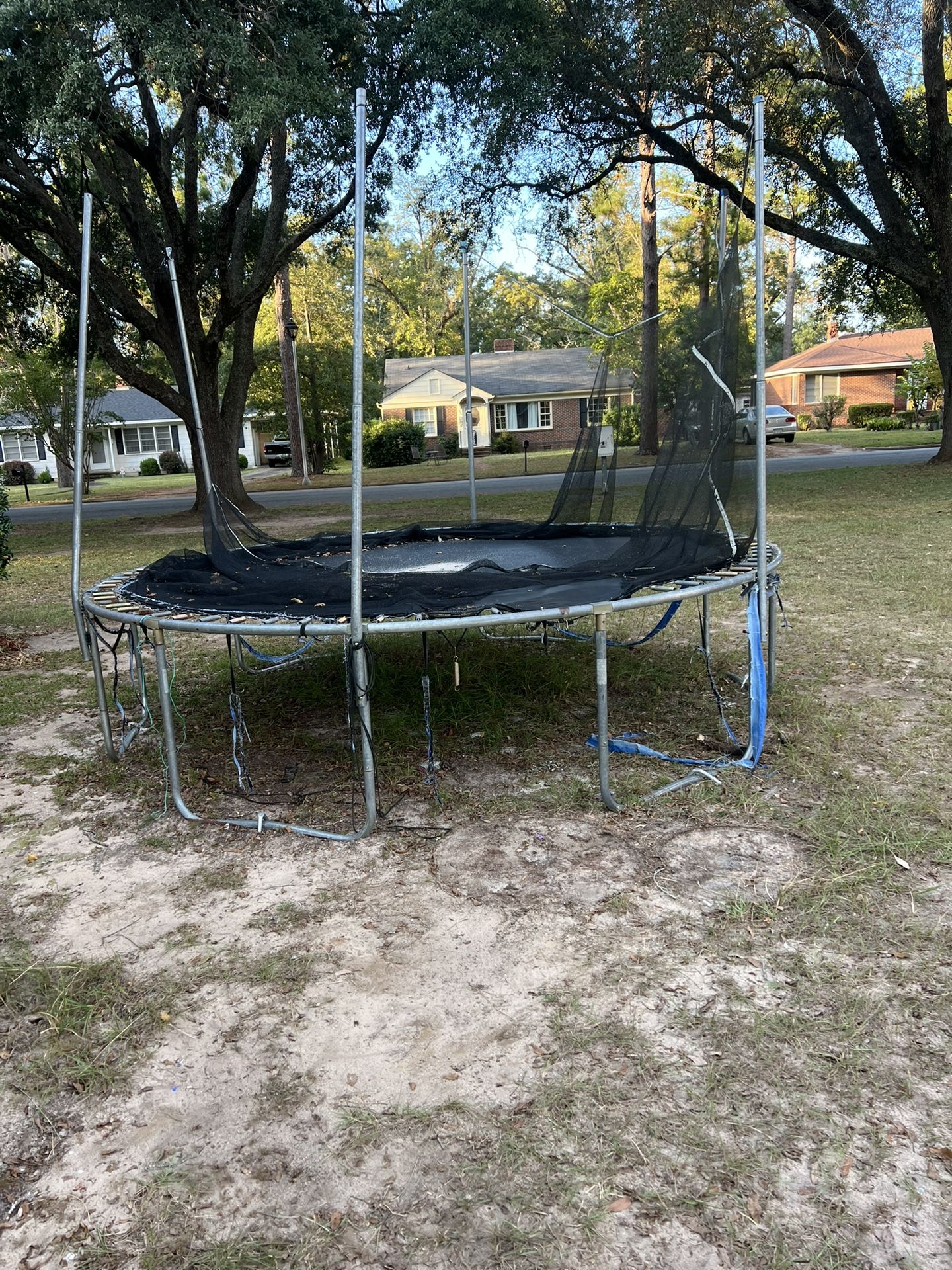 Trampoline (Free)