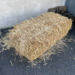 Large hay bale - perfect for animals or gardening