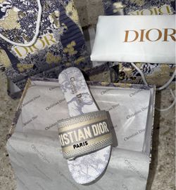 🔥 Christian Dior Dway Slides