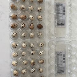 Fresh Quail Eggs