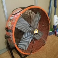 Fan