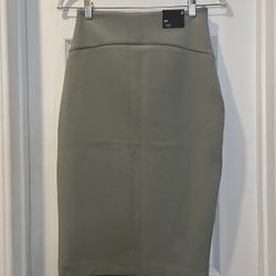 Express Pencil Skirt