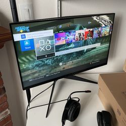 Alienware 25” Gaming Monitor