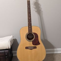 Acoustic Aria Guitar