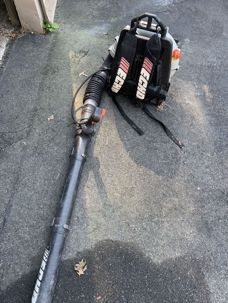 Echo Leaf Blower