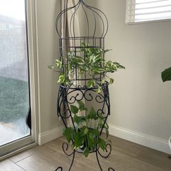 Decorative Cage