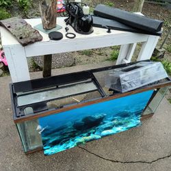 55 Gallon Tank Set Up (Red Ear Slider)