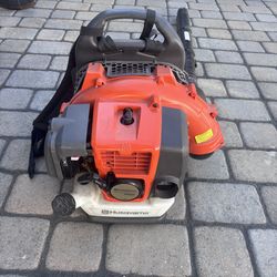 Husqvarna Backpack Blower + Echo String Trimmer – Both Run Great!