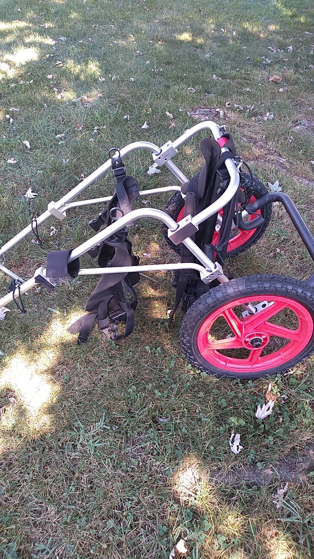 Large dog wheels wheelchair