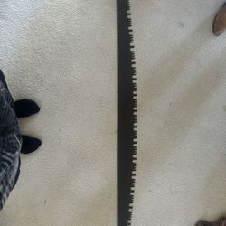Vintage 2 Person Crosscut Saw
