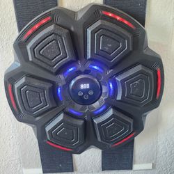 Wall Punching Pad 