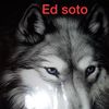 Ed soto