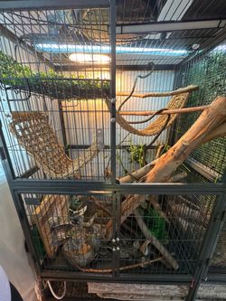 2 large reptile enclosures