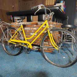 Vintage Schwinn 