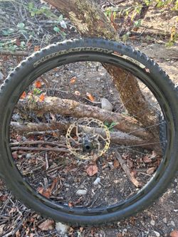 29" Easton carbon Wheel with Specialized Purgatory Tire