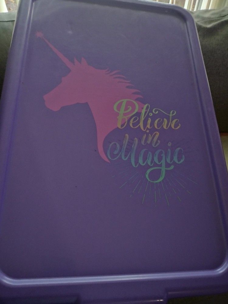 Storage Box Believe In Magic