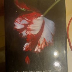 Twilight New Moon Book
