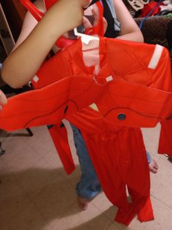 Big Hero 6 Costume