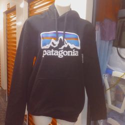 Patagonia hoodie 
