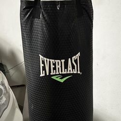 Everlast Heavy Bag