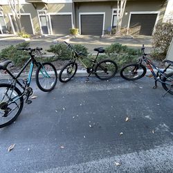 3 Bikes one price  ($100 buys all 3)