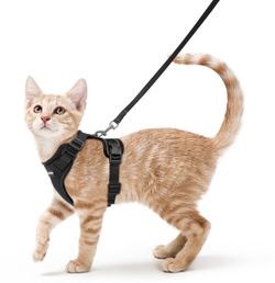 Harness and Leash Small