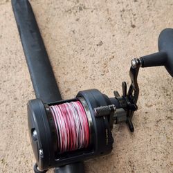Penn Fathom 25 NSDDP Reel/Braid/Penn Carnage Rod