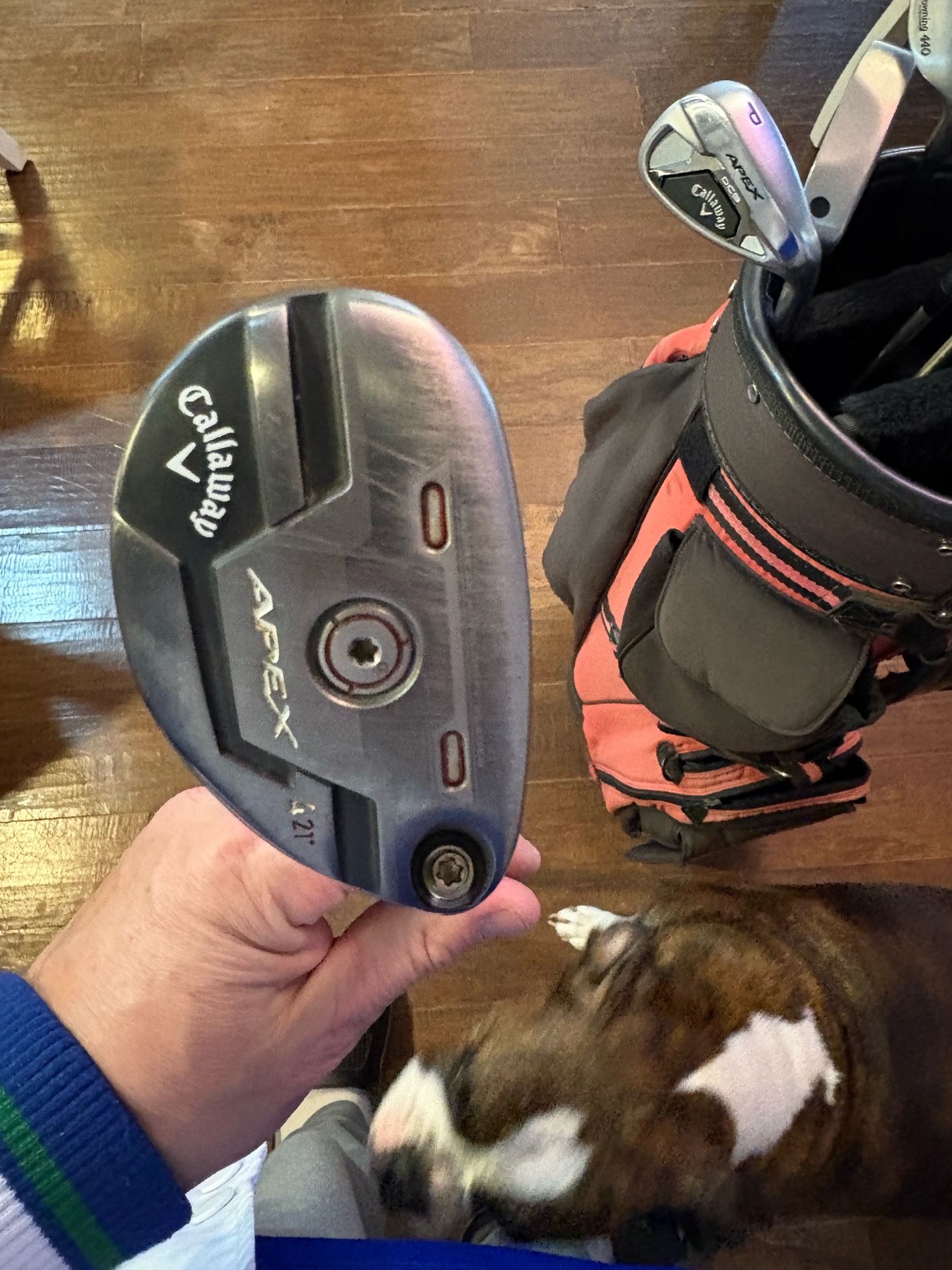 Callaway Apex