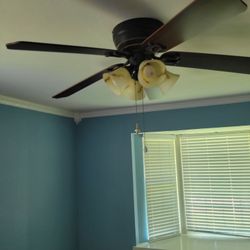 Ceiling Fan