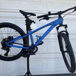 Giant STP 24 inch kids mountain bike