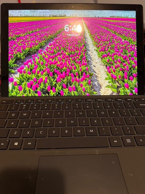 Microsoft Surface Pro (11th Edition)