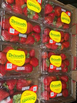 Fresh strawberries