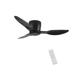 Black Ceiling Fan
