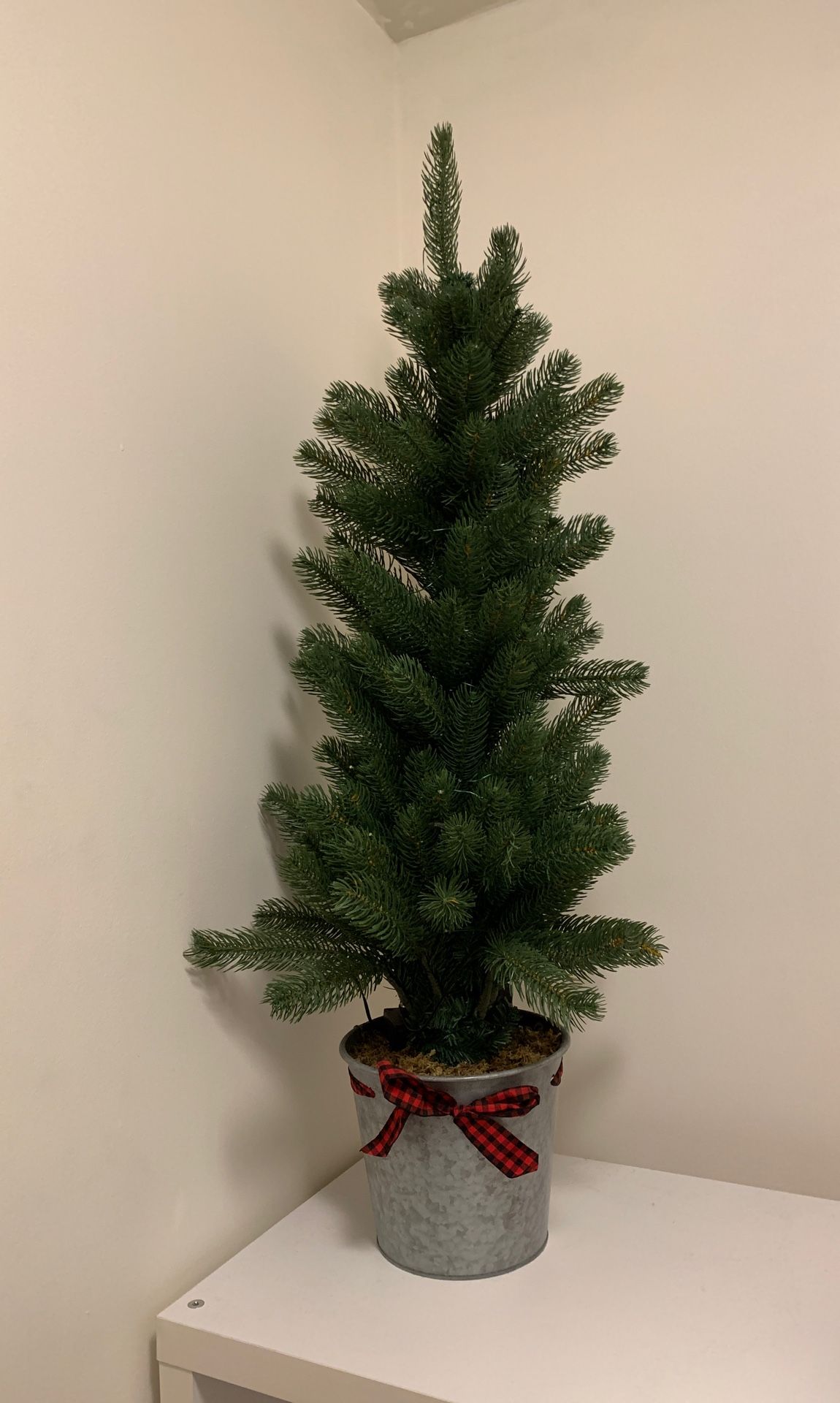 Home Decor ( little Christmas tree)