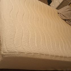 Free 10in Queen Foam Mattress 