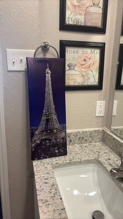 Paris Canvas picture