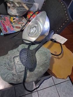 $20 reptile bundle