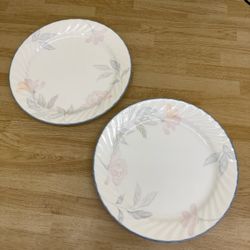 Set of 2 Corelle Vintage Dinner Plates